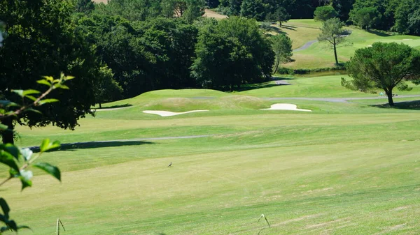 Landscape Golf Course Aquitaine France Sunny Day — Stock Photo, Image