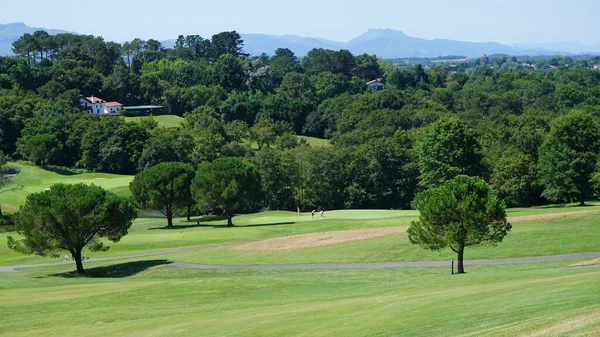 Landschap Van Een Golfbaan Aquitaine Frankrijk Een Zonnige Dag — Stockfoto