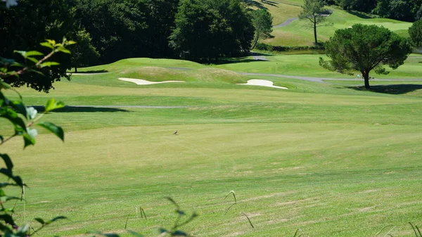 Landschap Van Een Golfbaan Aquitaine Frankrijk Een Zonnige Dag — Stockfoto