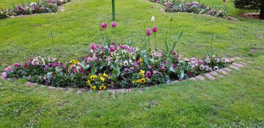 Renkli bahar çiçekleri arka planı