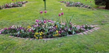 Renkli bahar çiçekleri arka planı