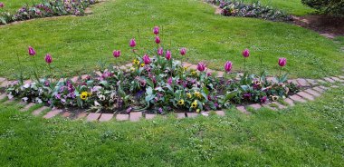 Renkli bahar çiçekleri arka planı