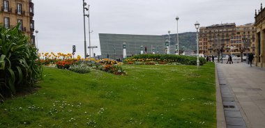 Renkli bahar çiçekleri arka planı