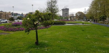 Renkli bahar çiçekleri arka planı