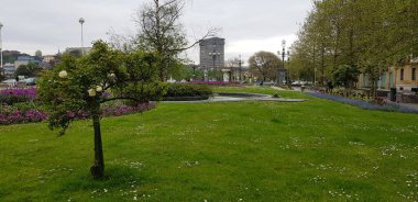 Renkli bahar çiçekleri arka planı