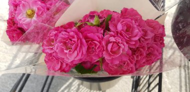 Renkli bahar çiçekleri arka planı