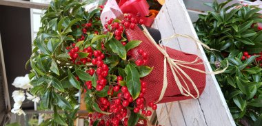 Renkli bahar çiçekleri arka planı