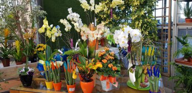 Renkli bahar çiçekleri arka planı