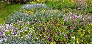 Renkli bahar çiçekleri arka planı