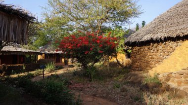 Renkli bahar çiçekleri arka planı