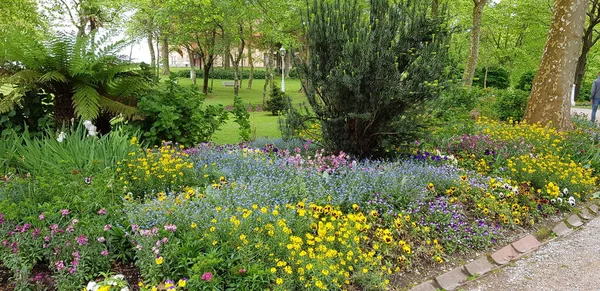 色とりどりの春の花を背景に — ストック写真