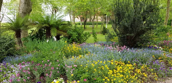 Красивий Барвистий Весняний Фон Квітами — стокове фото