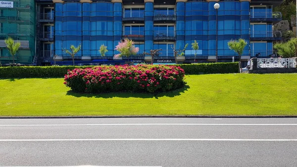 Mooie Kleurrijke Lente Bloemen Achtergrond — Stockfoto