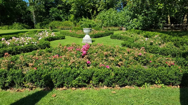 色とりどりの春の花を背景に — ストック写真