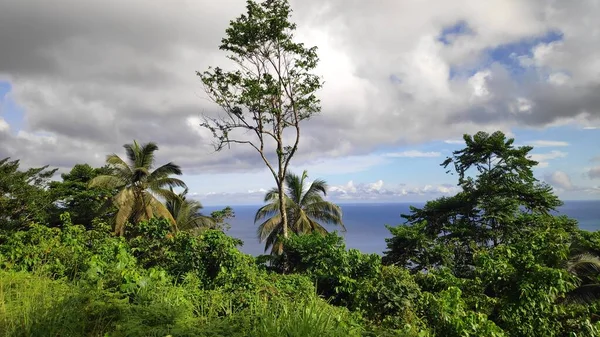 Landskap São Tomé Och Príncipe Afrikanska Öarna — Stockfoto