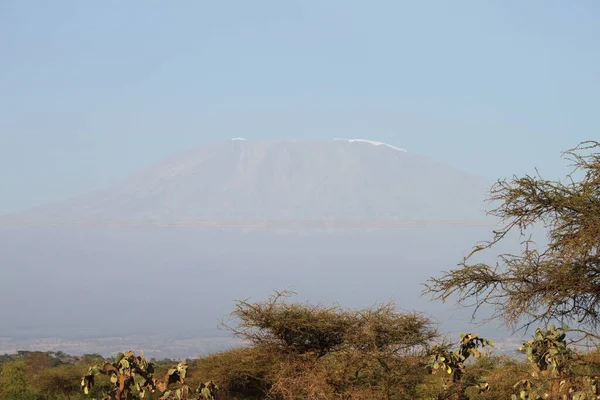 Amboseli National Park Landscape Kenya Africa Nature Animals — Stock Photo, Image