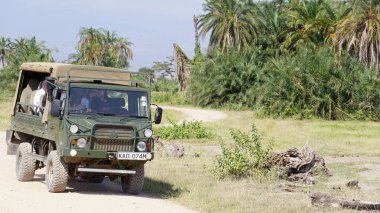 Amboseli, Kenya, Haziran, 30, 2019: 4x4 turistli araçlar Kenya, Afrika 'daki Amboseli Ulusal Parkı' nda safariye çıktılar.