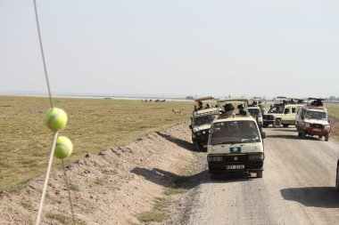Amboseli, Kenya, Haziran, 30, 2019: 4x4 turistli araçlar Kenya, Afrika 'daki Amboseli Ulusal Parkı' nda safariye çıktılar.