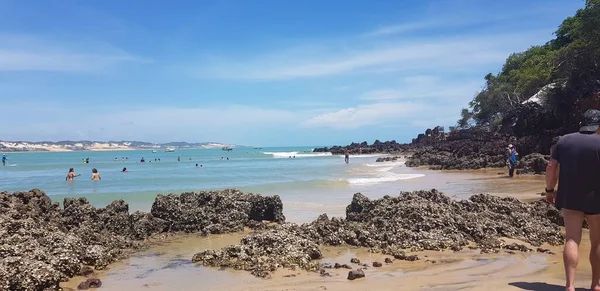 Ландшафт Пляжу Понта Негра Наталі Бразилія — стокове фото
