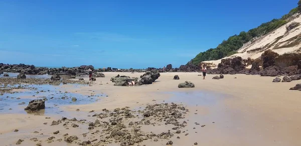 Paysage Plage Ponta Negra Dans Natal Brésil — Photo