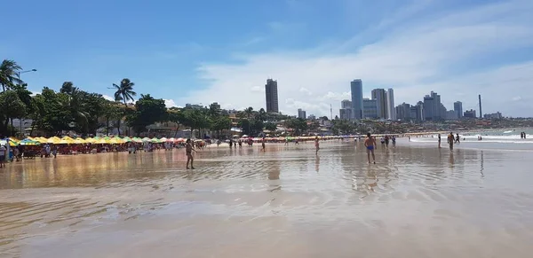 Paesaggio Della Spiaggia Ponta Negra Natal Brasile — Foto Stock