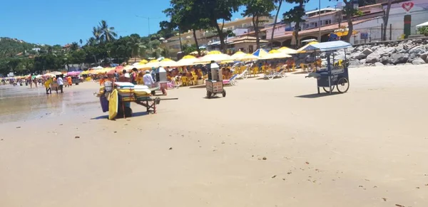 Natal Brasil Febrero 2019 Tablas Surf Playa Ponta Negra Natal —  Fotos de Stock