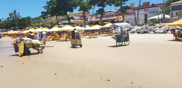 Natal Brasilien Februar 2019 Surfbretter Ponta Negra Strand Natal — Stockfoto