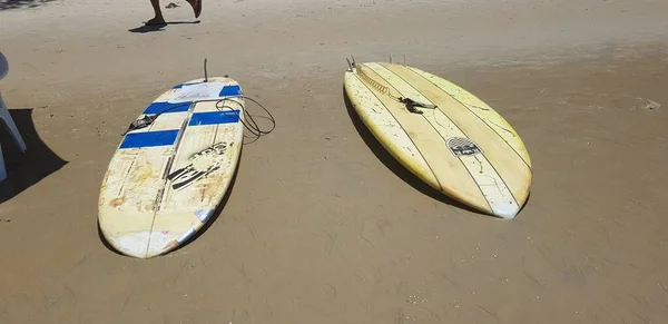 Natal Brasile Febbraio 2019 Tavole Surf Sulla Spiaggia Ponta Negra — Foto Stock