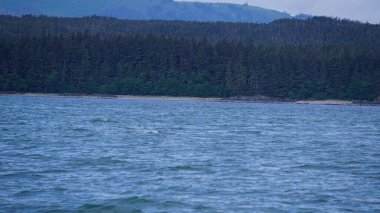 Alaska fiyortlarında dağlar ve deniz manzarası