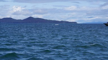 Alaska, ABD 'de balina izleme