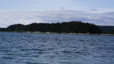 Bir balina safariyi izlerken Alaska fiyordunda manzara