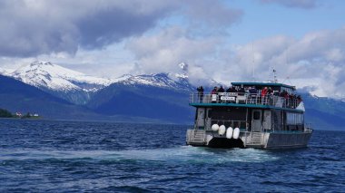 Juneau, Alaska, 27 Mayıs 2019: Alaska, Juneau yakınlarındaki bir fiyortta balina izleme gezisi