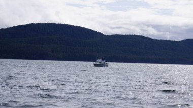 Juneau, Alaska, 27 Mayıs 2019: Alaska, Juneau yakınlarındaki bir fiyortta balina izleme gezisi