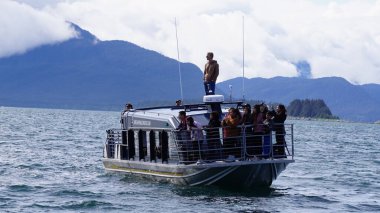 Juneau, Alaska, 27 Mayıs 2019: Alaska, Juneau yakınlarındaki bir fiyortta balina izleme gezisi