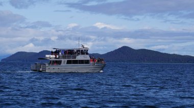 Juneau, Alaska, 27 Mayıs 2019: Alaska, Juneau yakınlarındaki bir fiyortta balina izleme gezisi