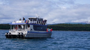 Juneau, Alaska, 27 Mayıs 2019: Alaska, Juneau yakınlarındaki bir fiyortta balina izleme gezisi