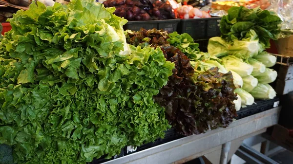 Divers Légumes Supermarché — Photo