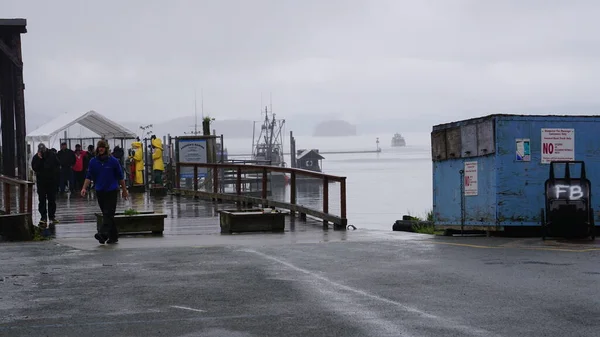 Juneau Alaska Mayıs 2019 Alaska Balıkçılık Spor Turizm Limanı — Stok fotoğraf