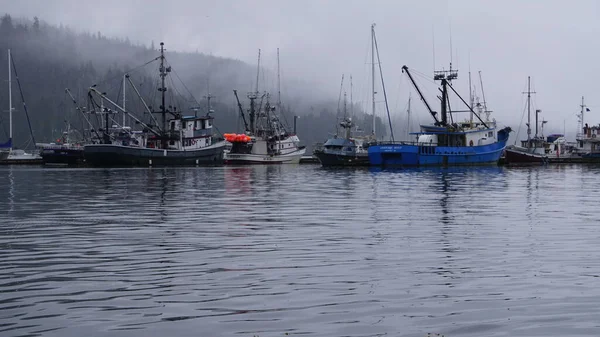 Juneau, Alaska, 27 Mayıs 2019: Alaska Balıkçılık, Spor ve Turizm Limanı