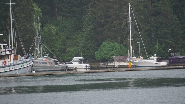 Juneau Alaska Maggio 2019 Alaska Fishing Sport Turismo Boat Port — Foto Stock