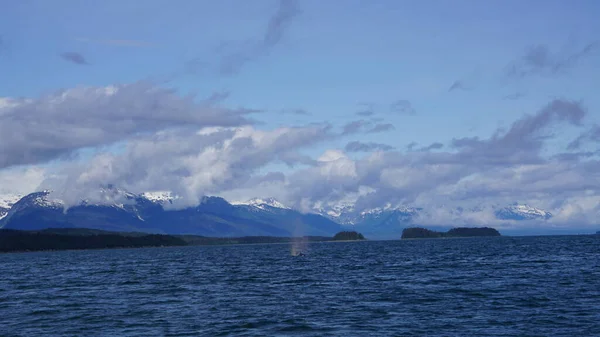 Hegyek Tengeri Táj Egy Alaszkai Fjordban — Stock Fotó