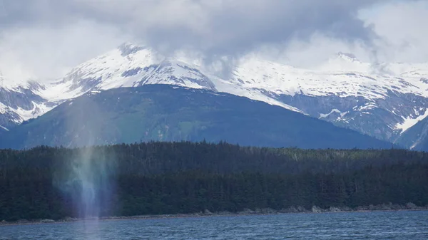Osservazione Delle Balene Alaska Usa — Foto Stock