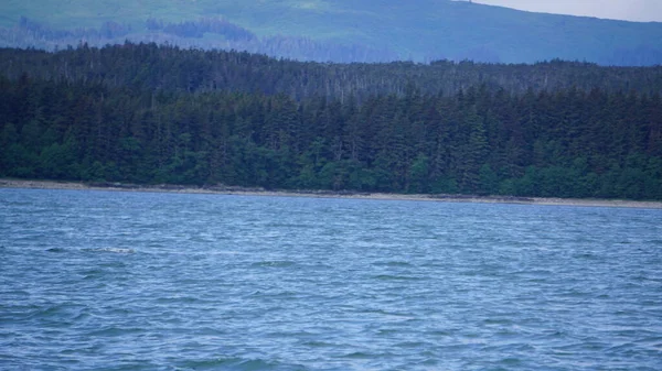 Montagnes Paysages Marins Dans Fjord Alaska — Photo