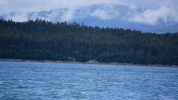Пейзаж Фіорді Аляски Під Час Спостереження Сафарі Китами — стокове фото