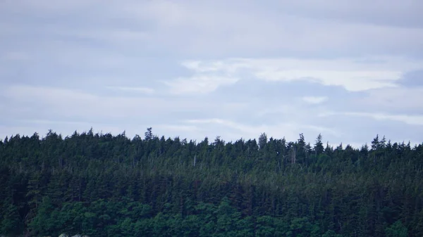 landscape in an Alaskan fjord during a whale watching safari