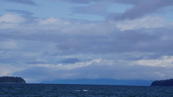 美国阿拉斯加州观看鲸鱼 — 图库照片
