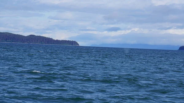 Krajobraz Fiordzie Alaski Podczas Wielorybów Obserwujących Safari — Zdjęcie stockowe
