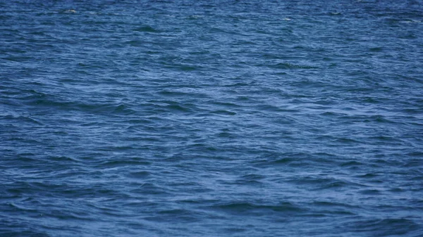 Landscape Alaskan Fjord Whale Watching Safari — Stock Photo, Image