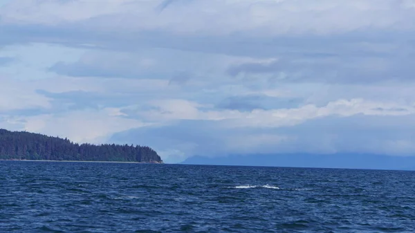 Paesaggio Fiordo Dell Alaska Durante Safari Avvistamento Balene — Foto Stock