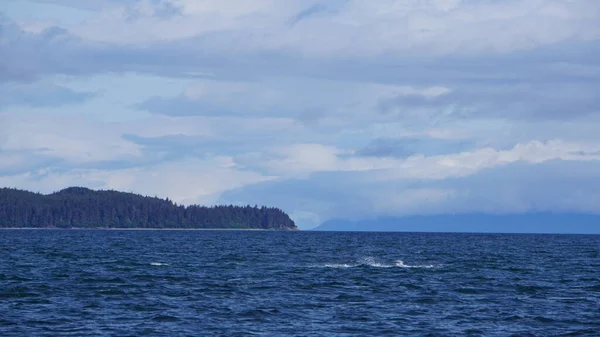 Avistamiento Ballenas Alaska Eeuu — Foto de Stock